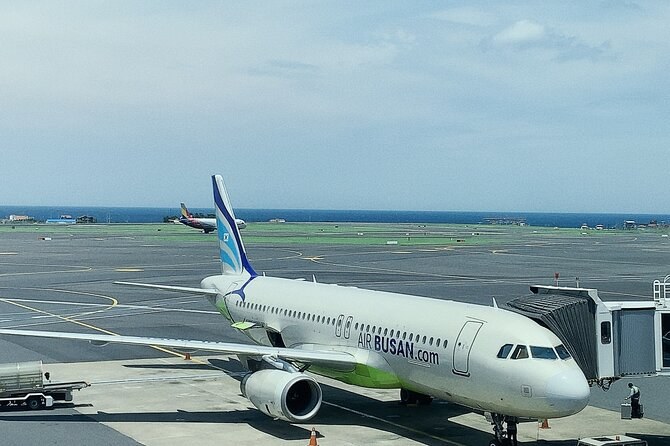 Perfect for Layovers!Taipei &Taiwan Airport Pickups & City Tours!